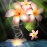 Записки УНИХИПИЛИ: 8 месяцев