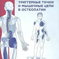 Остеопатия. Триггерные точки и мышечные цепи