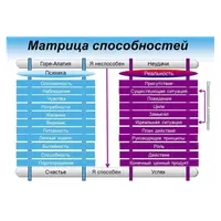 Терапия по матрице способностей