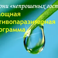 Мощная противопаразитарная программа