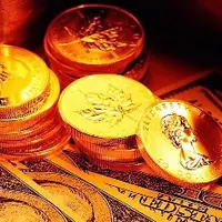 Реальные инвестиции. Проект «Живой портфель»