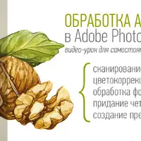 Обработка иллюстрации в Photoshop