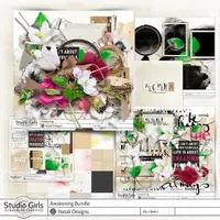 Awakening All In One