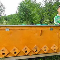 Методы содержания пчёл в Владимирских ульях