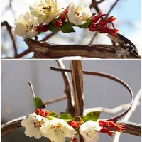 Обруч “Цветение шиповника”