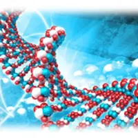 Активация ДНК. Начало. Биологический слой