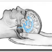 Семинар по остеопрактике
