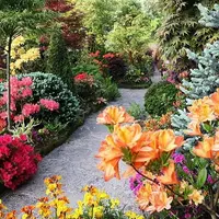 Мой процветающий сад