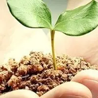 ИНТЕРАУРА - Лечение и профилактика: Аллергия 2.0