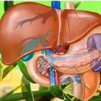 Чистим печень