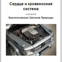Сердце и кровеносная система в контексте Биологических Законов Природы
