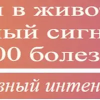 Боли в животе — ваш тревожный сигнал о 10000 болезней