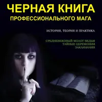 Черная книга профессионального мага