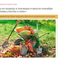 Работы по огороду и теплицам в августе-сентябре и подготовка участка к зиме