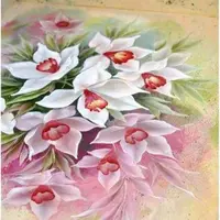 Маки и нарциссы