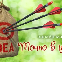 Точно в цель