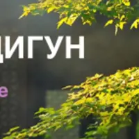 Дыхание цигун