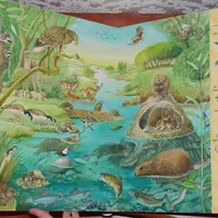 Самые красочные Виммельбухи