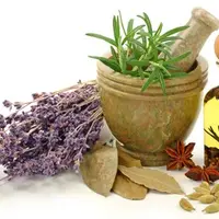 Восточные способы лечения травами и минералами