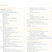 Мануальный лимфатический дренаж в косметологии