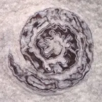 Декорирование 1.0