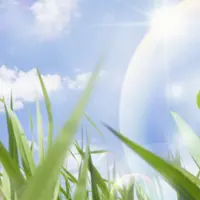 Системы очищения организма