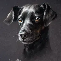 Портреты домашних животных пастелью