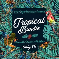 Тропический набор графики