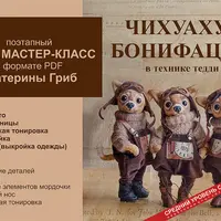 Чихуахуа Бонифацио