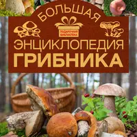 Большая энциклопедия грибника