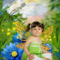 Коллаж - Лилии синие