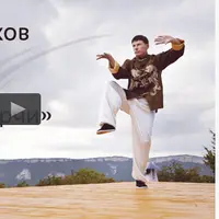 Цигун: 8 отрезков парчи