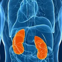 Очищение почек