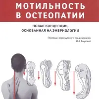 Мотильность в остеопатии