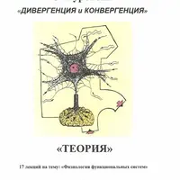 Лекции по остеопатии: Дивергенция и Конвергенция. 3 уровень
