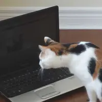 Автоматизация труда письменного переводчика