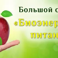 Биоэнергетика питания