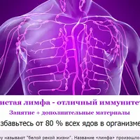 Чистая лимфа