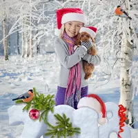 Новогодний коллаж - 2018