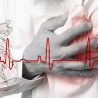 Азбука здоровья сердечно-сосудистой системы