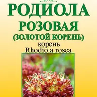 Родиола – классический адаптоген. Целебные свойства