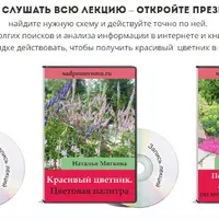 Секреты создания красивых цветников