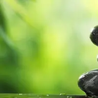 Стань автором Яндекс.Дзен и начни зарабатывать