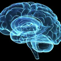 Здоровый мозг в любом возрасте