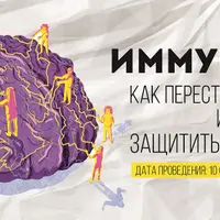 Иммунитет: как перестать болеть и защитить свой мозг