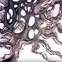 Настрой жизнь с помощью рисунка. Мои страхи