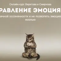 Как достичь гармоничной осознанности и не позволять эмоциям управлять вашей жизнью