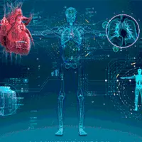 Анатомия для практикующих биодинамику