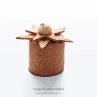 Пари-Стар и Пари-Брест