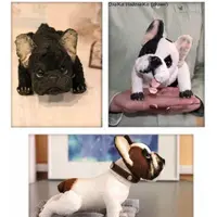 Французский бульдог. Выкройка и описание